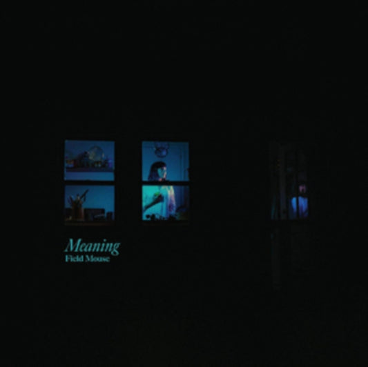 Field Mouse - Meaning (Vinyl)