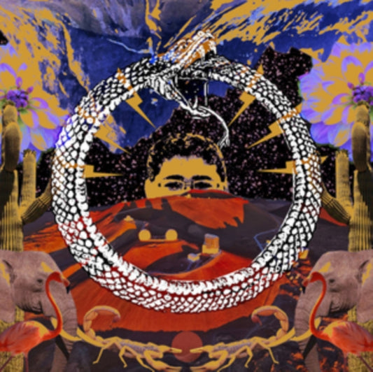 Stone House On Fire - Neverending Cycle (Limited Red Vinyl) (Vinyl)