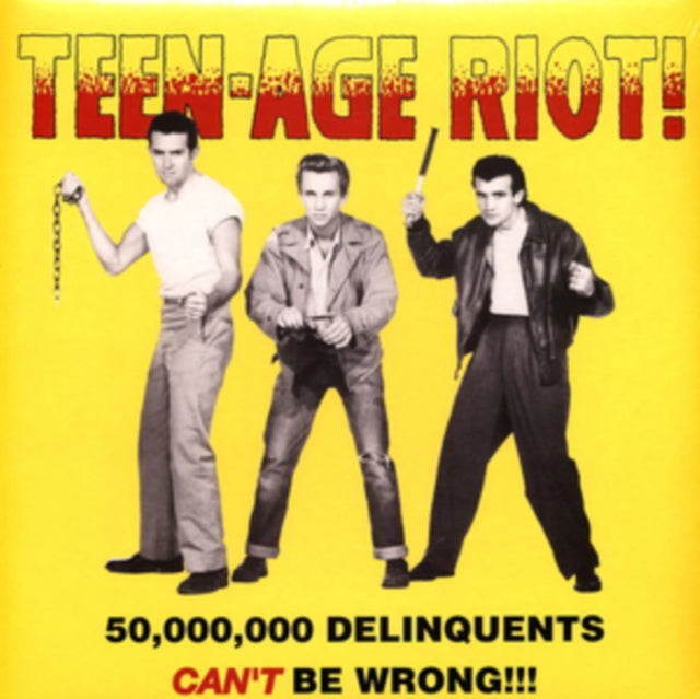 Various Artists - Teen-Age Riot! - 50.000.000 Delinquents Cant Be Wrong!!! (Vinyl)