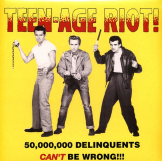 Various Artists - Teen-Age Riot! - 50.000.000 Delinquents Cant Be Wrong!!! (Vinyl)