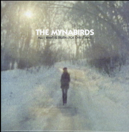 Mynabirds - All I Want Is Truth (Vinyl Single)