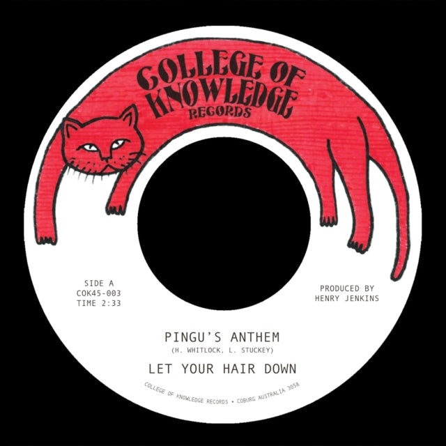 Let Your Hair Down - Pingus Anthem B / W Gronk (Vinyl)