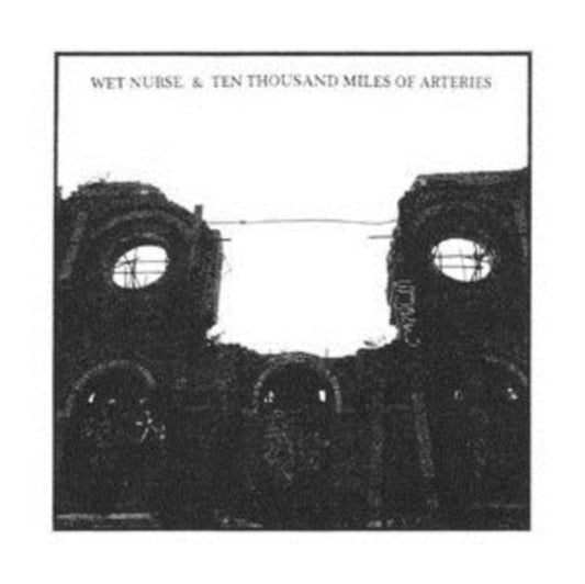 Wet Nurse / Ten Thousand Miles Of Arteries - Split (CD)