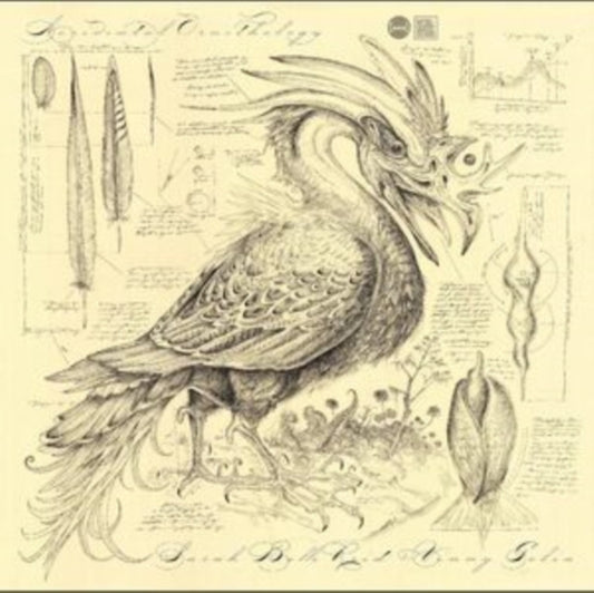 Sarah Belle Reid & Vinny Golia - Accidental Ornithology (CD)