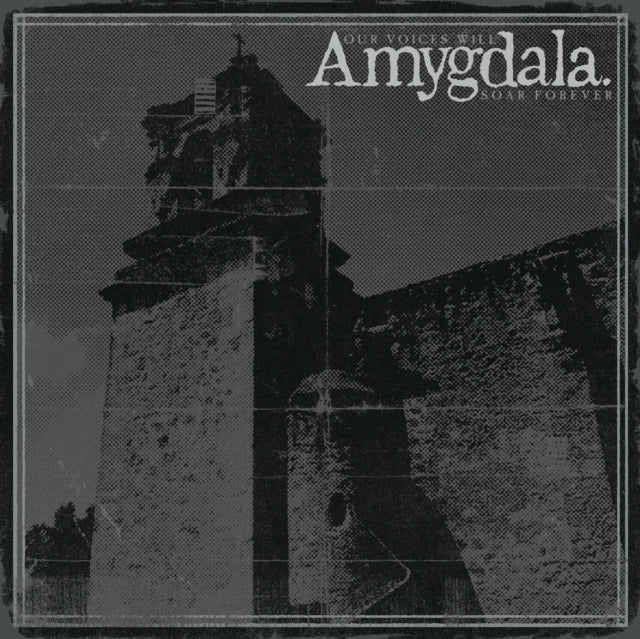 Amygdala - Our Voices Will Soar Forever (CD)