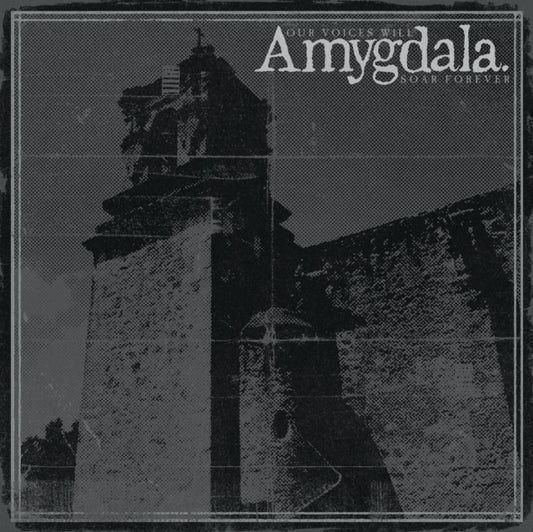 Amygdala - Our Voices Will Soar Forever (CD)