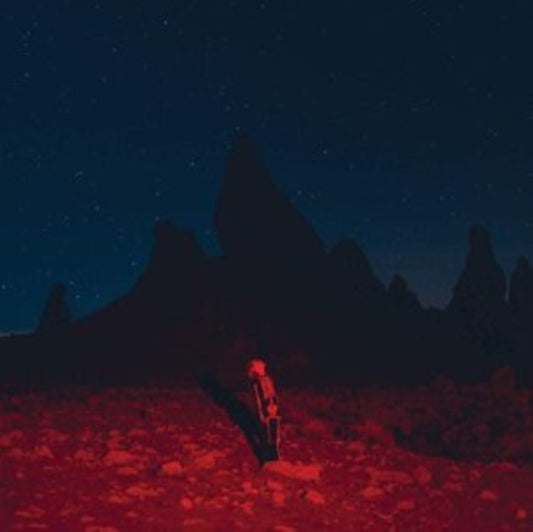 Phoebe Bridgers - Punisher (CD)