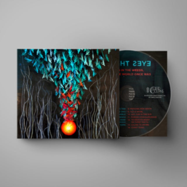 Bright Eyes - Down In The Weeds. Where The World Once Was (CD)
