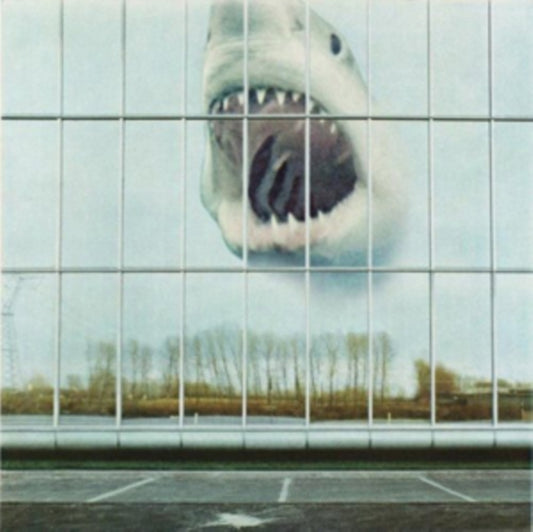 Black Mountain - Wilderness Heart (CD)