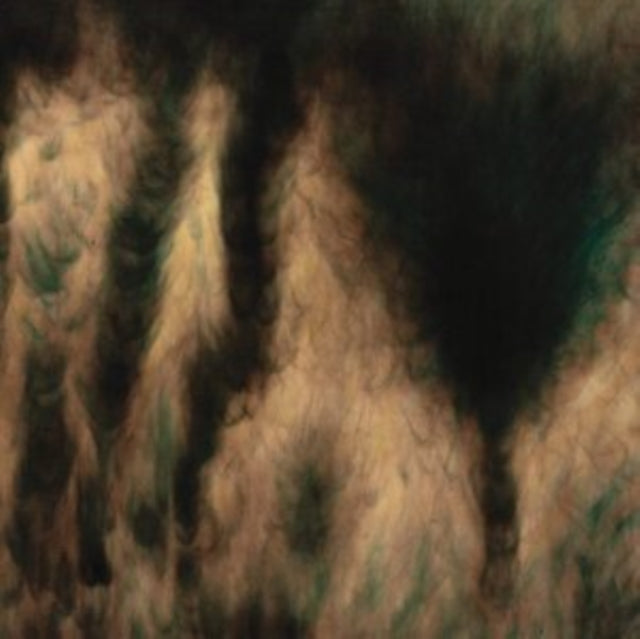 William Basinski Lamentations (CD) (https://lasgo.dmmserver.com/media/640/06566053/0656605334325.jpg)