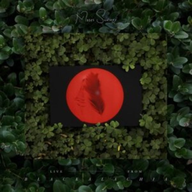 Moses Sumney - Live From Blackalachia (Vinyl)
