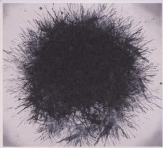 Dm Stith - Heavy Ghost Appendices (CD)