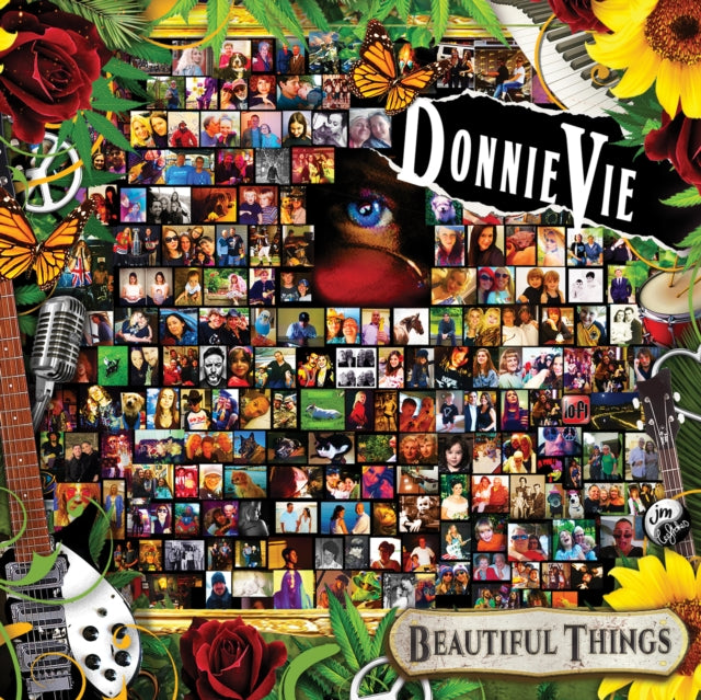 Donnie Vie - Beautiful Things (Vinyl)