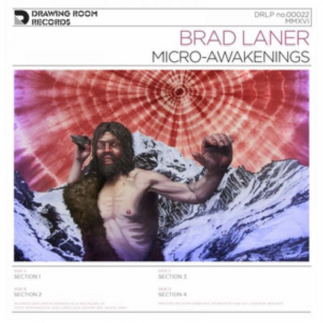 Brad Laner - Micro-Awakenings (Vinyl)