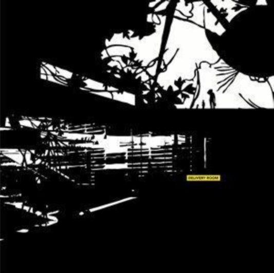 Various Artists - Delivery Room (CD)