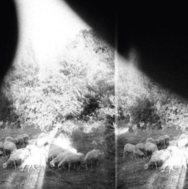 Godspeed You Black Emperor - Asunder  Sweet And Other Distress (Vinyl)