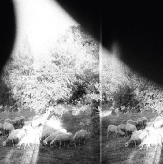 Godspeed You Black Emperor - Asunder  Sweet And Other Distress (Vinyl)