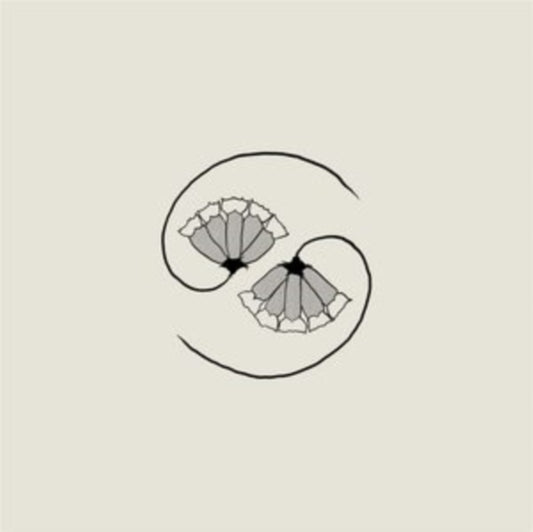 Godspeed You! Black Emperor - G_Ds Pee At States End! (CD)