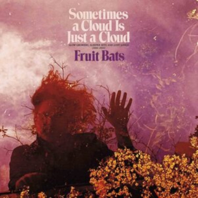 Fruit Bats - Sometimes A Cloud Is Just A Cloud: Slow Growers. Sleeper Hits And Lost Songs (2001-2021) (Vinyl)
