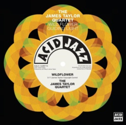 James Taylor Quartet - Wildflower / Guiding Light (Vinyl Single)