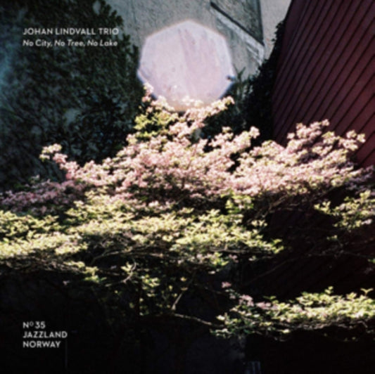 Johan Lindvall Trio - No City. No Trees. No Lake (CD)