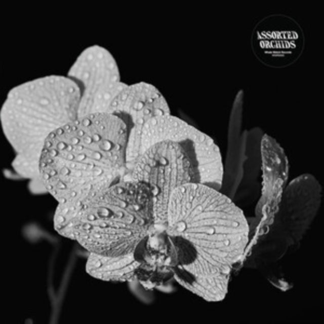Assorted Orchids - Assorted Orchids (Vinyl)
