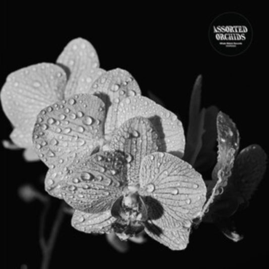Assorted Orchids - Assorted Orchids (Vinyl)