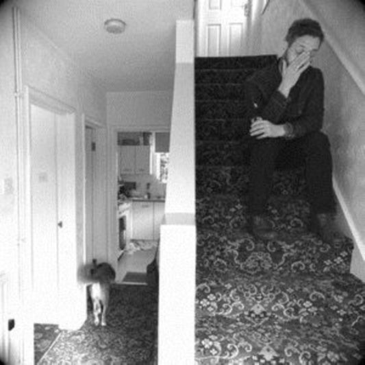 D L Burdon - Accidental Aesop (Vinyl)