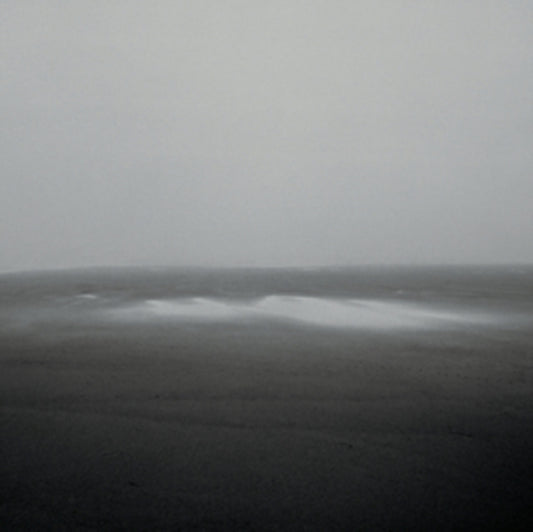 Barreca / Leimer - Drowning Guides (CD)