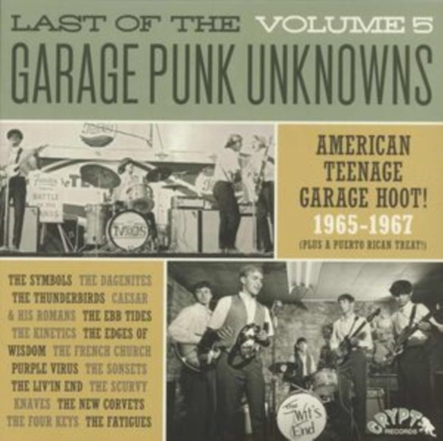 Various Artists - Garage Punk Unknowns - The Last Of... Vol. 5 (Vinyl)