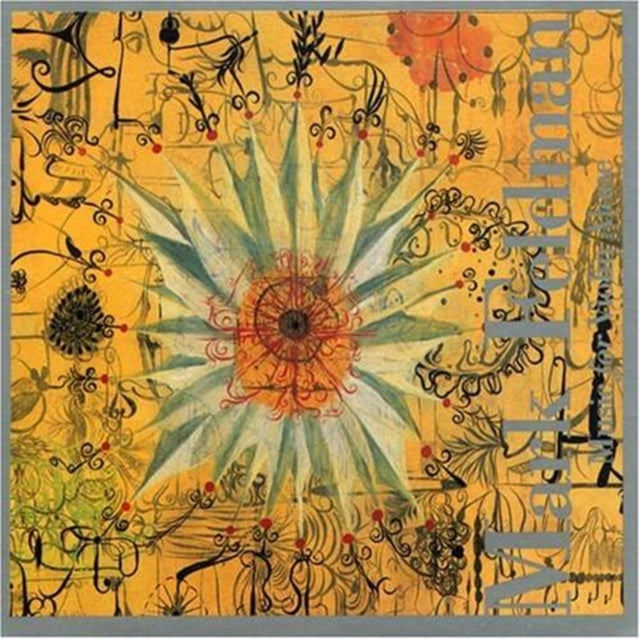 Mark Feldman - Feldman. Mark: Etude Jete / Sul G / Molly / Caprice / Fantasy For The Violin / Stalker / The Tri Five / 4 Spiker (CD)