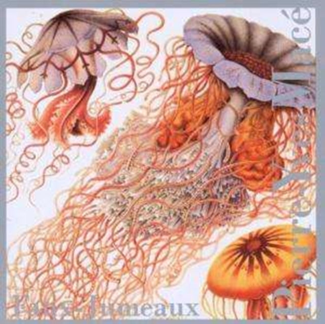 Pierre-Yves Mace - Faux-Jumeaux (CD)
