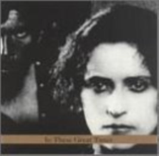 John Schott - In These Great Times (CD)