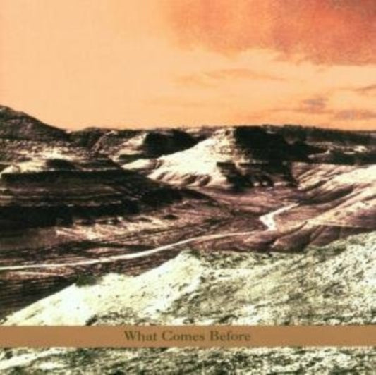 Goldberg / Schott / Sarin Trio - What Comes Before (CD)