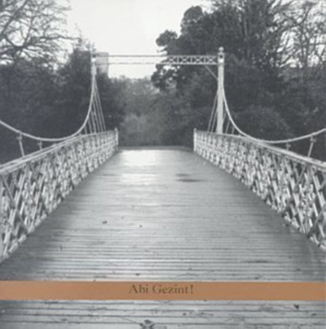 Psamim - Abi Gezint! (CD)