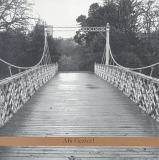 Psamim - Abi Gezint! (CD)