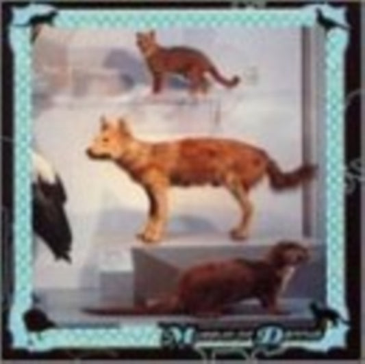 Danny Cohen - Museum Of Dannys (CD)