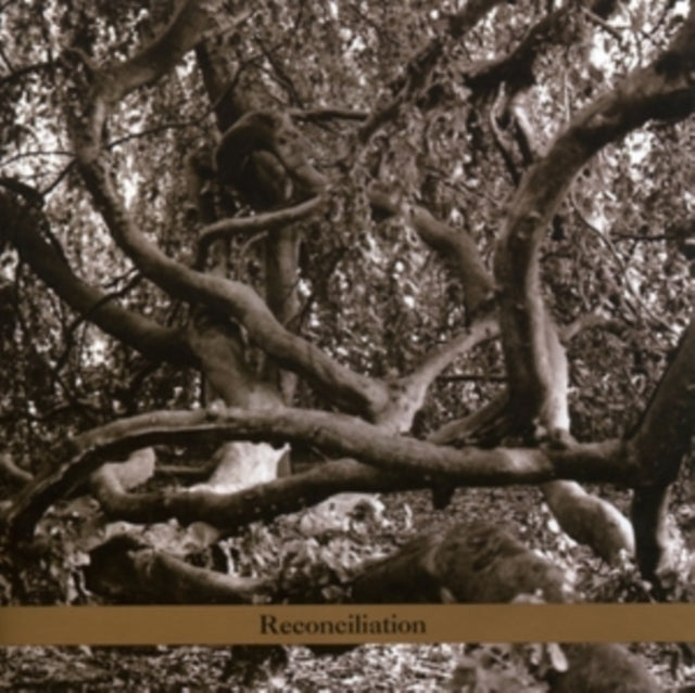 Daphna Sadeh And The Voyagers - Reconciliation (CD)