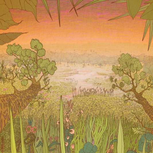 Pine Barons - Mirage On The Meadow (Vinyl)