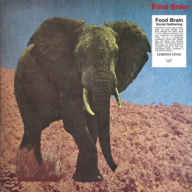 Food Brain - Social Gathering (Vinyl)