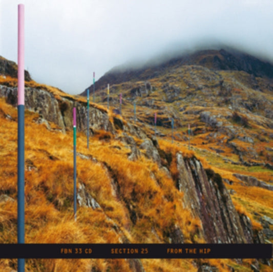 Section 25 - From The Hip (CD)