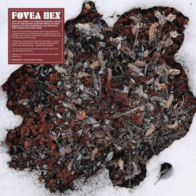 Fovea Hex - The Salt Garden (Landscaped) (Vinyl)