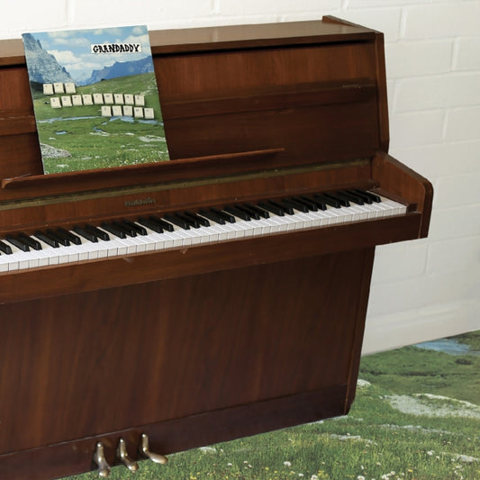 Grandaddy - The Sophtware Slump ..... On A Wooden Piano (Eco Mix Citrus Yellow Vinyl) (Vinyl)