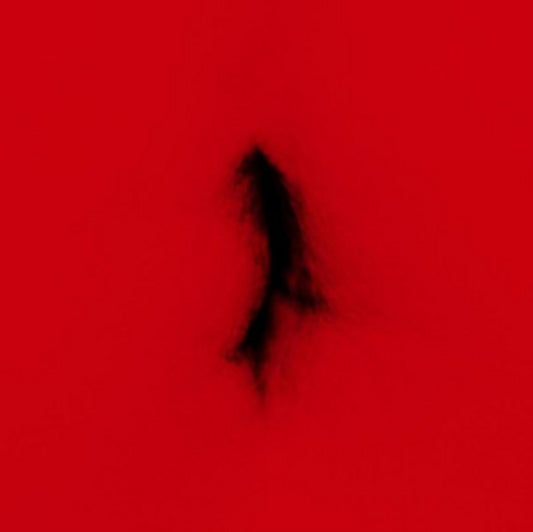 Dingwei - Untied (Vinyl)