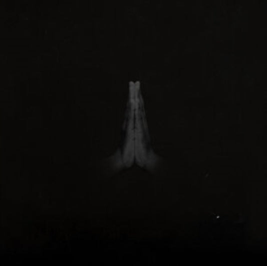 Sault - Untitled (Rise) (CD)