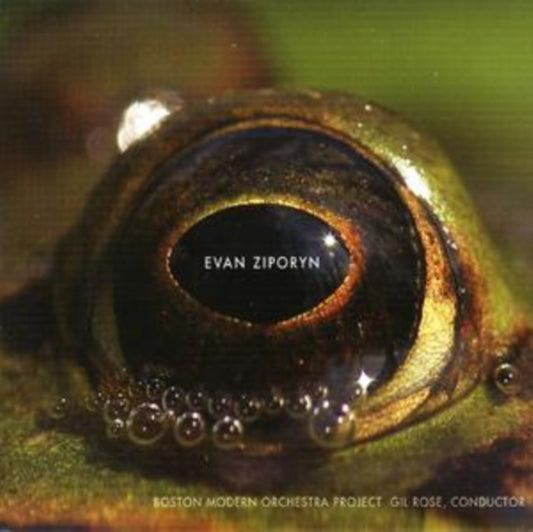 Boston Modern Or Projectrose - Ziporynfrogs Eye (CD)