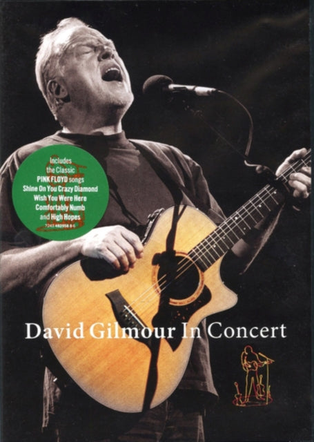 David Gilmour - In Concert (DVD)