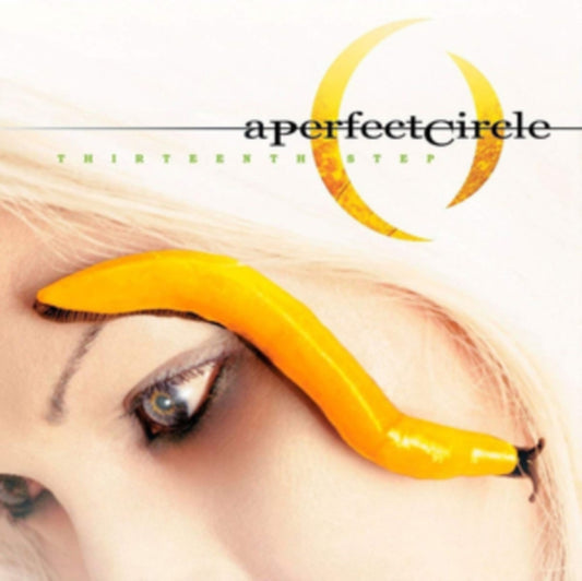 A Perfect Circle - Thirteenth Step (Vinyl)