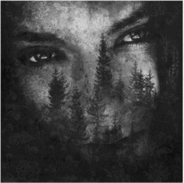 Lustre - The Ashes Of Light (CD)