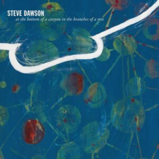 Steve Dawson - At The Bottom Of A Canyon In The Branches Of A Tree (Vinyl)